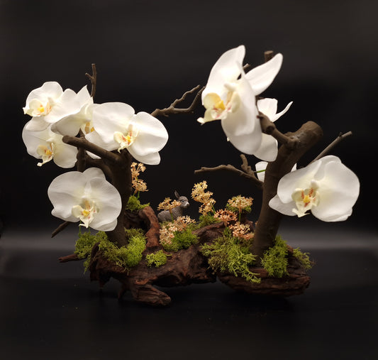 Orchid Dreamscape Bonsai